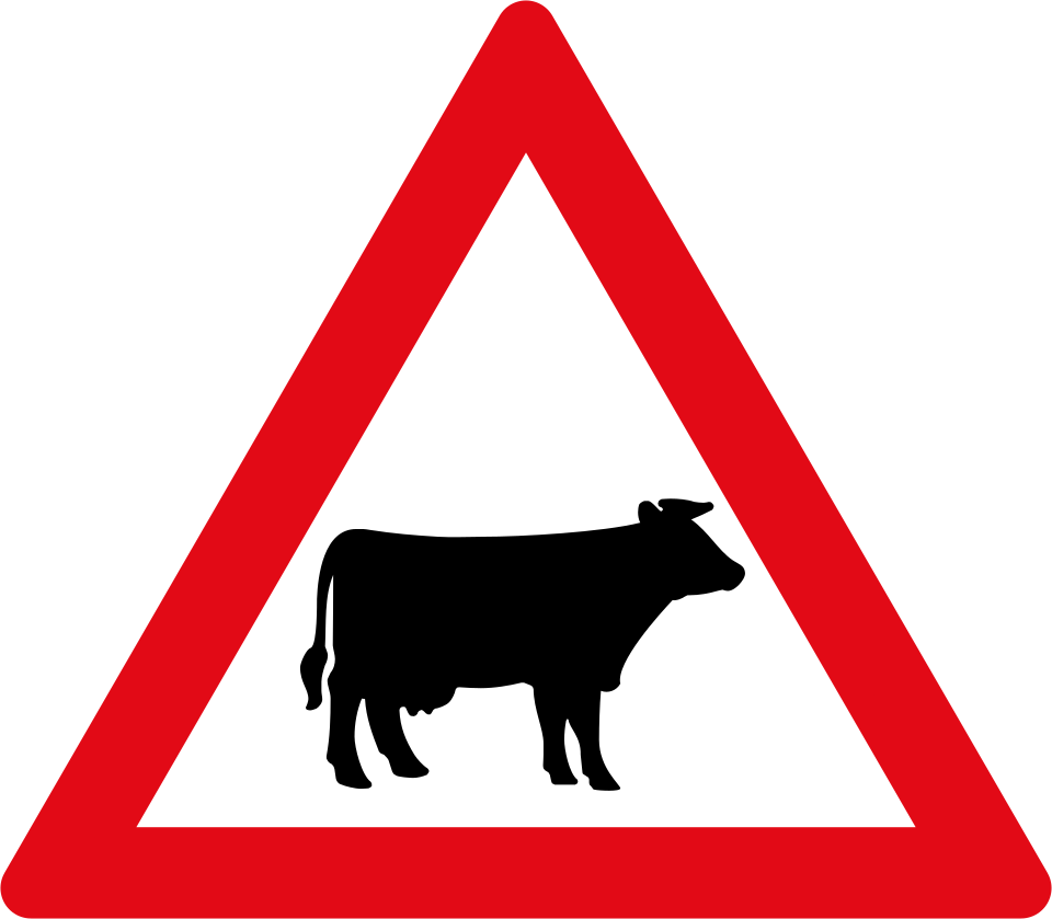 Domestic animals (W310)
