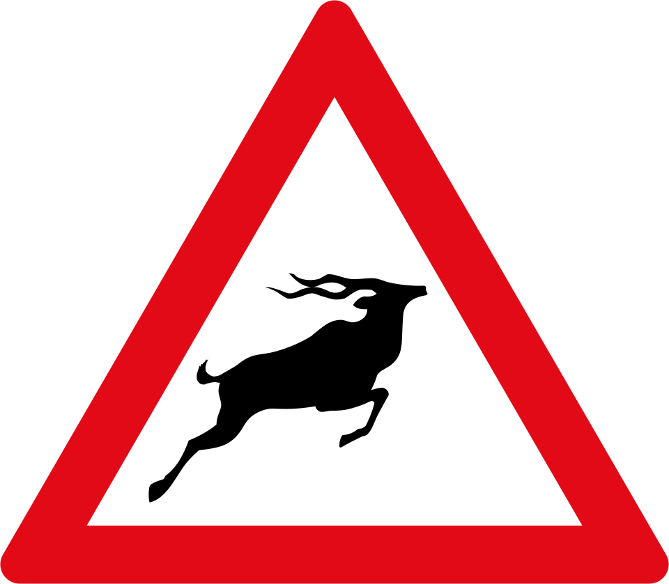 Wild animals (W313)